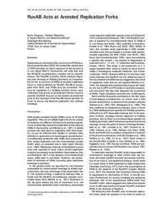 Cell, Vol. 95, 419–430, October 30, 1998, Copyright 1998 by Cell Press  RuvAB Acts at Arrested Replication Forks Marie Seigneur, Vladimir Bidnenko, S. Dusko Ehrlich, and Be´ne´dicte Michel*