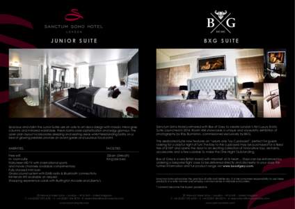 JUNIOR SUITE  BXG SUITE Spacious and stylish the Junior Suites are an ode to art deco design with mosaic mirror glass columns and mirrored wardrobes these rooms ooze sophistication and edgy glamour. The
