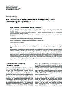 The Endothelial ADMA/NO Pathway in Hypoxia-Related Chronic Respiratory Diseases