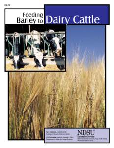 Feeding Barley to Dairy Cattle