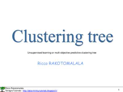 Unsupervised learning or multi-objective predictive clustering tree  Ricco RAKOTOMALALA Ricco Rakotomalala Tanagra Tutorials - http://data-mining-tutorials.blogspot.fr/