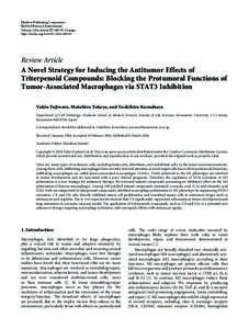 A Novel Strategy for Inducing the Antitumor Effects of Triterpenoid Compounds: Blocking the Protumoral Functions of Tumor-Associated Macrophages via STAT3 Inhibition