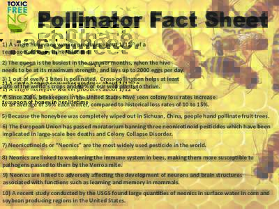 Pollinator Fact Sheet 1)	
  A	
  single	
  honeybee	
  worker	
  produces	
  about	
  1/12th	
  of	
  a	
   teaspoon	
  of	
  honey	
  in	
  her	
  life:me	
   2)	
  The	
  queen	
  is	
  the	
  busi