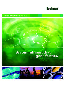 PERFORMANCE CHEMICALS  A commitment that goes farther.  O U R C O M M I T M E N T: