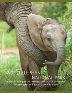 ADDO ELEPHANT NATIONAL PARK From Planning to the Implementation of a Successful Conservation and Socio-Economic Model