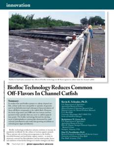 Biofloc Technology Reduces Common Off-Flavors In Channel Catfish