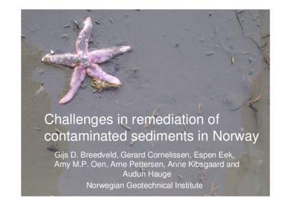 Challenges in remediation of contaminated sediments in Norway Gijs D. Breedveld, Gerard Cornelissen, Espen Eek, Amy M.P. Oen, Arne Pettersen, Anne Kibsgaard and Audun Hauge Norwegian Geotechnical Institute