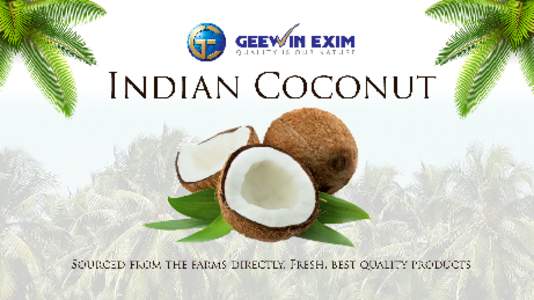 The brown husked coconut is rusty brown and covered with hairy brown fibers, the thick fibrous husk of the coconut encases an inner shell. A layer of somewhat dry white meat lines the interior shell and holds liquid cal