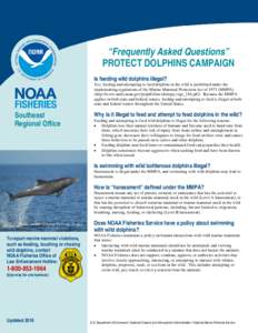 “Frequently Asked Questions” PROTECT DOLPHINS CAMPAIGN Is feeding wild dolphins illegal? Yes, feeding and attempting to feed dolphins in the wild is prohibited under the implementing regulations of the Marine Mammal 