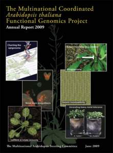 The Multinational Coordinated Arabidopsis thaliana Functional Genomics Project Annual Report 2009 Joe Kieber 