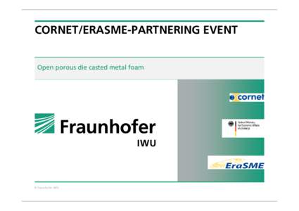 CORNET/ERASME-PARTNERING EVENT  Open porous die casted metal foam © Fraunhofer IWU