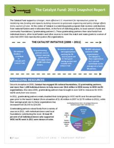 The Catalyst Fund: 2011 Snapshot Report The Catalyst Fund supports a stronger, more effective U.S. movement for reproductive justice by mobilizing new funding and capacity building resources to grassroots organizing and 
