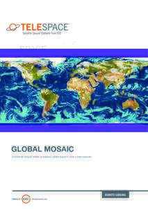 GLOBAL MOSAIC Automatically integrate multiple geostationary satellite images to create a global composite REMOTE SENSING EECWEATHERTECH.COM