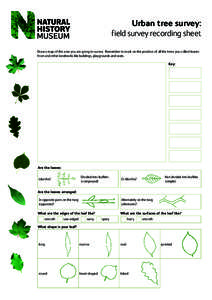 Urban tree survey: field survey recording sheet Draw a map of the area you are going to survey. Remember to mark on the position of all the trees you collect leaves from and other landmarks like buildings, playgrounds an