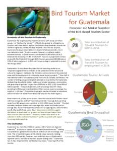 Bird Tourism Market for Guatemala Robust Woodpecker Luis Segura  Green Honeycreeper