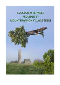 Ecosystem Services provided by Mountshannon Village Trees 2016 Bernard Carey and Brian Tobin