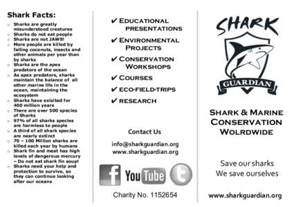 Shark / Carcharhinidae / Jaws / Shark sanctuary / Outline of sharks / Fish / Sharks / Shark finning