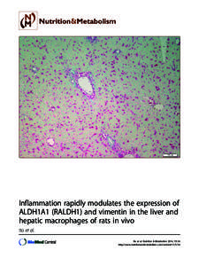 Inflammation rapidly modulates the expression of ALDH1A1 (RALDH1) and vimentin in the liver and hepatic macrophages of rats in vivo Ito et al. Ito et al. Nutrition & Metabolism 2014, 11:54 http://www.nutritionandmetaboli