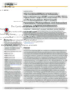 The Combined Effects of Arbuscular Mycorrhizal Fungi (AMF) and Lead (Pb) Stress on Pb Accumulation, Plant Growth Parameters, Photosynthesis, and Antioxidant Enzymes in Robinia pseudoacacia L.