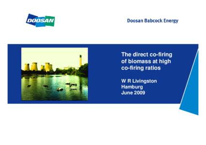 The direct co-firing of biomass at high co-firing ratios W R Livingston Hamburg June 2009