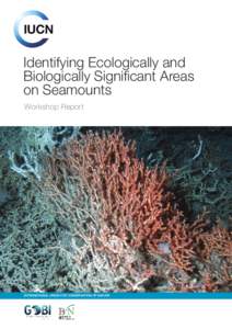 Identifying Ecologically and Biologically Significant Areas on Seamounts Workshop Report  INTERNATIONAL UNION FOR CONSERVATION OF NATURE