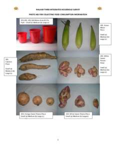 MALAWI THIRD INTEGRATED HOUSEHOLD SURVEY PHOTO AID FOR COLLECTING FOOD CONSUMPTION INFORMATION 101,102, 103,104 Maize Grain & Ufa Pails – Small (a) Medium (b) Large (cGreen Maize Piece