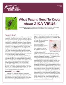 What Texans Need to Know about Zika Virus
