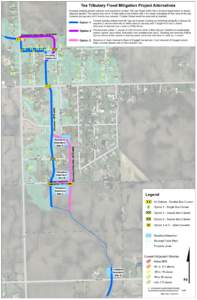 Tea Tributary Flood Mitigation Project Alternatives  Increase existing stream capacity and culverts to contain 100 year flows within the channel at least below all lowest adjacent grades: The typical channel is 10 feet w