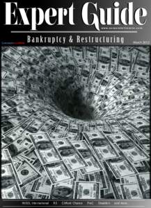 Expert Guide w w w. c o r p o r a te l i v e w i r e . c o m Bankruptcy & Restructuring  INSOL International
