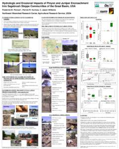 Hydrologic and Erosional Impacts of Pinyon and Juniper Encroachment Into Sagebrush Steppe Communities of the Great Basin, USA Frederick B. Pierson*, Patrick R. Kormos, C. Jason Williams Northwest Watershed Research Cente