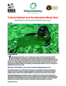 Critical Habitat and the Hawaiian Monk Seal Why should I care about the Hawaiian monk seal? Photograph: NOAA  July 2008