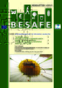 NEWSLETTER | www.besafe-project.net | for information | unsubscribe •	 The BESAFE project	2 •	 Changes over time in arguments used in