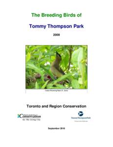 The Breeding Birds of Tommy Thompson Park 2009 Cedar Waxwing Nest (A. Jano)