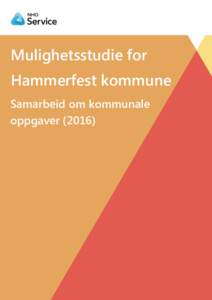 Mulighetsstudie for Hammerfest kommune Samarbeid om kommunale oppgaver
