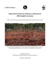 GAPETA Borneo  Natural Forest Clearance Continues on Deep Peat in APRIL Supplier Concession APRIL’s sustainability commitment questioned, High Conservation Value Forest cleared