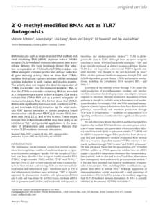 original article  © The American Society of Gene Therapy 2′-O-methyl-modified RNAs Act as TLR7 Antagonists