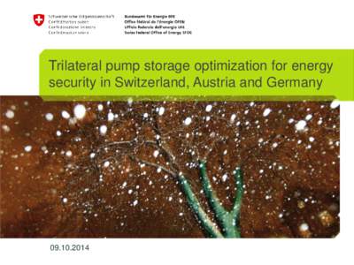 Trilateral pump storage optimization for energy security in Switzerland, Austria and Germany  Agenda