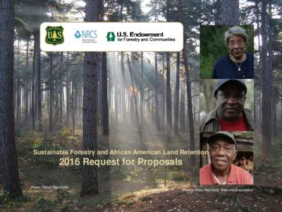 Sustainable Forestry and African American Land RetentionRequest for Proposals Photo: Donar Reiskoffer  Photos: Mary Reynolds Babcock Foundation