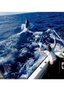 THE HOT SEAT In marlin season on the Great Barrier Reef the fighting chair is where the action