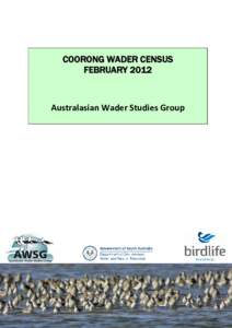 WADER SURVEYS IN THE COORONG & S