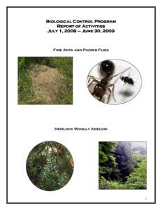 Biological Control Program Report of Activities July 1, 2008 – June 30, 2009 Fire Ants and Phorid Flies