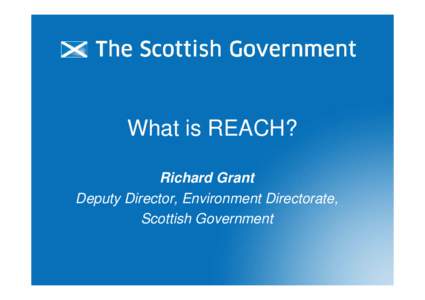 What is REACH? Richard Grant Deputy Director, Environment Directorate, Scottish Government  REACH