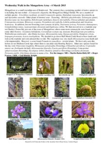 Wednesday Walk in the Mongarlowe Area – 4 March 2015 Mongarlowe is a small township east of Braidwood. The cemetery has a surprising number of native species in it including the rare orchid – Corunastylis oligantha, 
