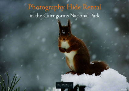 Photography Hide Rental in the Cairngorms National Park Peter Cairns  Photography Hide Rental