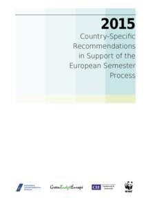 2015  Country-Specific Recommendations in Support of the European Semester