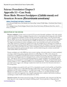 Baylands Ecosystem Habitat Goals Science UpdateScience Foundation Chapter 5 Appendix 5.1 – Case Study Shore Birds: Western Sandpipers (Calidris mauri) and American Avocets (Recurvirostra americana)