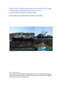 Study of the small pelagic fisheries for Atlantic herring and Atlantic mackerel on the west coast of Newfoundland (NAFO Division 4R) Research Report prepared by Barbara Paterson for the CURRA  Acknowledgement