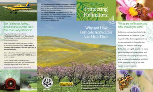 The North American Pollinator Protection Campaign is a collaborative body of over 140 organizations that work for the protection of pollinators across Mexico, Canada, and the United States. The NAPPC Pesticide Task Force