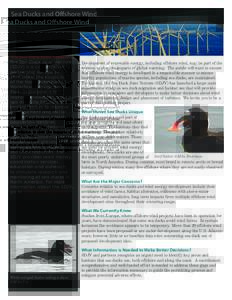 Ducks / Melanitta / Merginae / North American Waterfowl Management Plan / Sea Duck Joint Venture / Wind power / Surf scoter / Scoter / Offshore wind power / White-winged scoter / Black scoter / Sea