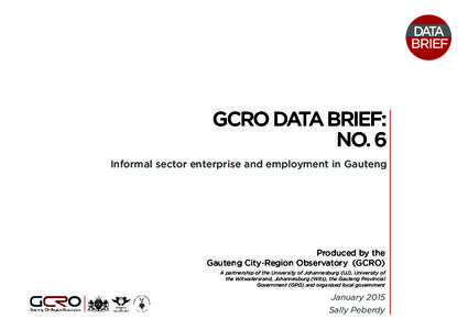 DATA BRIEF GCRO DATA BRIEF: NO. 6 Informal sector enterprise and employment in Gauteng